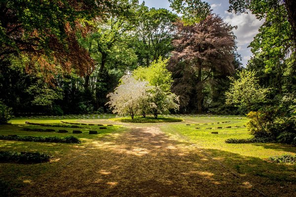 Comment créer un herbier pour les amateurs de botanique ?